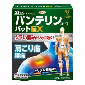 반테린 코와 패드 EX 21매입