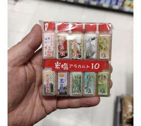 10종 소금 모듬 5g x 10p