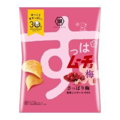 코이케야 슈퍼 무쵸 칩스 깔끔한 매실맛 55g [스낵]