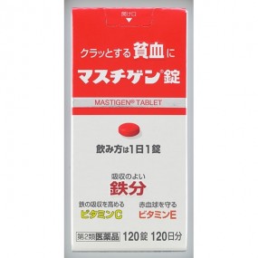 일본장기제약 빈혈치료제 마스티겐정 120정
