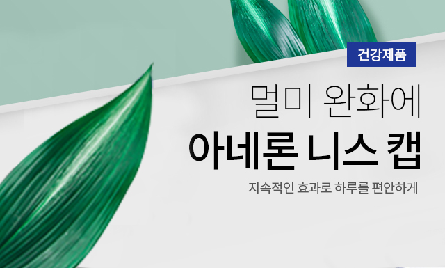 아네론 니스캡 캡슐 멀미약 10정